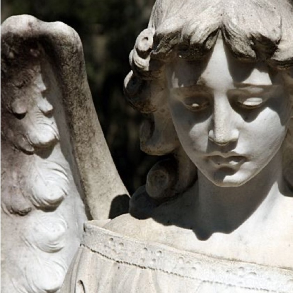 Meet your Posher, Madeline